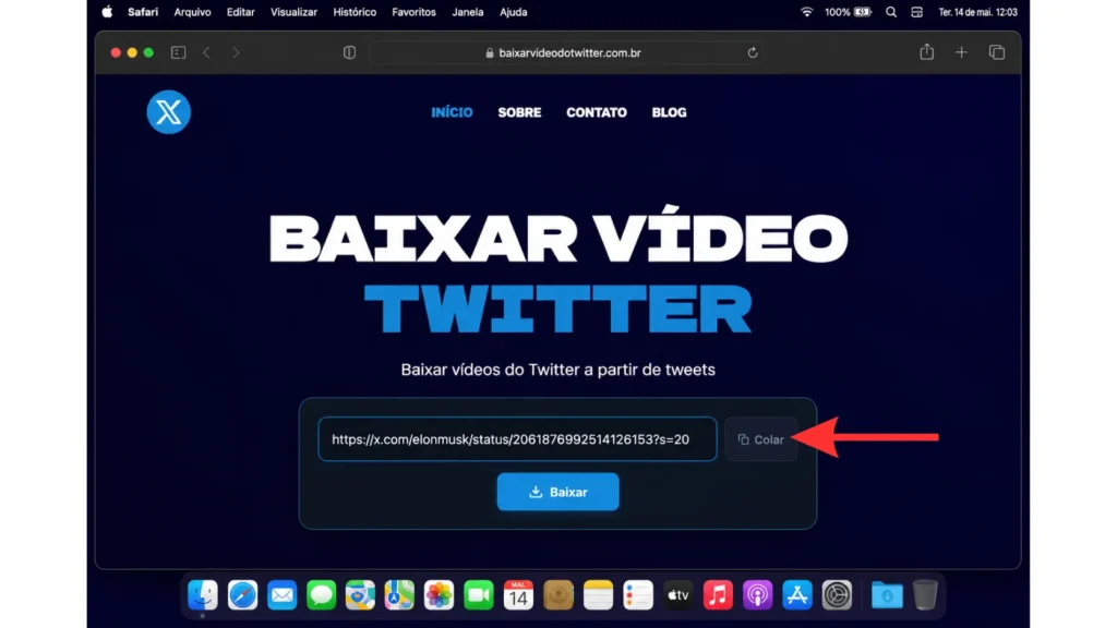 Passo 5 Baixar vídeos do Twitter no PC